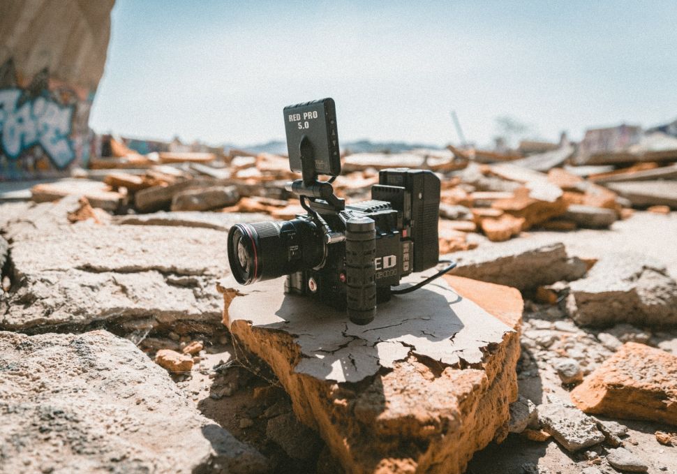 As far as documentaries go, there’s actually room for corporations to be connected to wildlife—even those that don’t initially seem connected to nature.