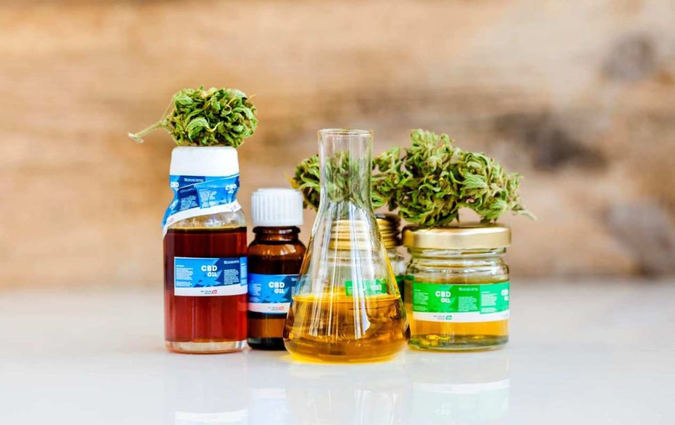 How do you choose the right CBD oil for pain relief?