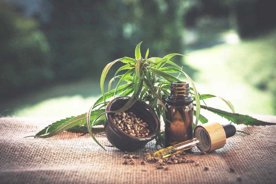 CBD Oil Guide 2020