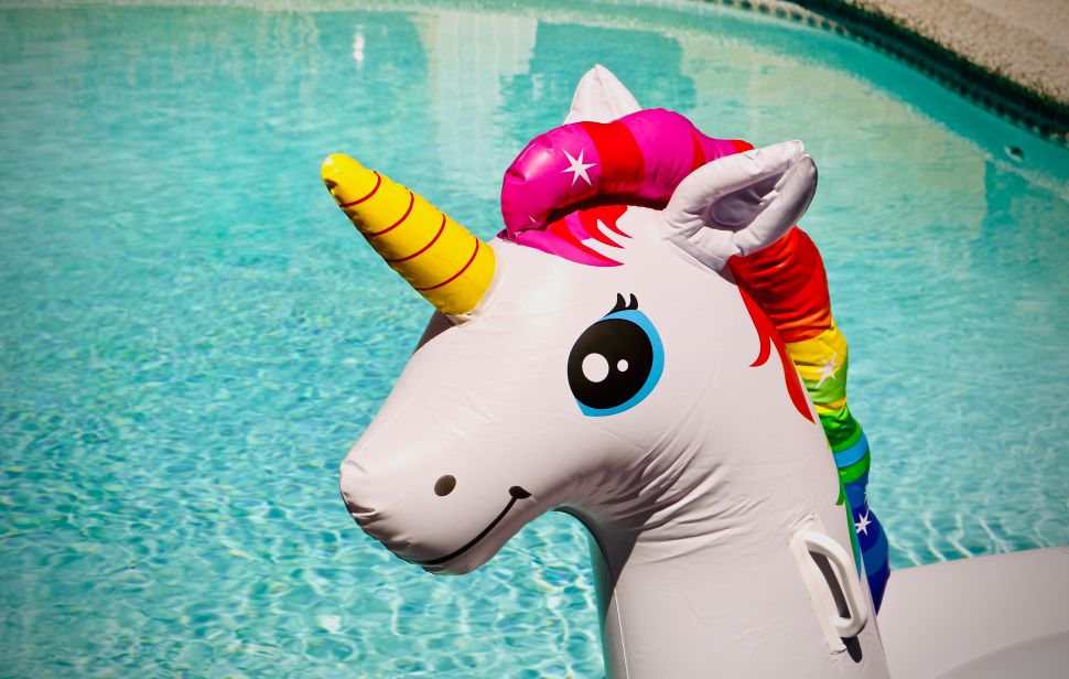 Tech unicorns were all the rage in the 2010s, but investors are now slowing their horses chasing them.