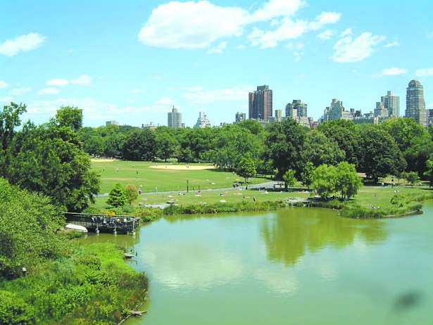 Central Park