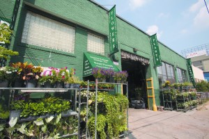 The exterior of Interior Foliage Design in Long Island City, Queens. - Photo by Aaron Adler