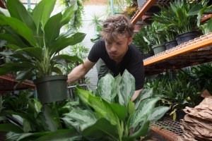 Matt Schechter gets an order ready in the Interior Foliage Design greenhouse in Long Island City, Queens.- Photo by Aaron Adler for The Commercial Observer