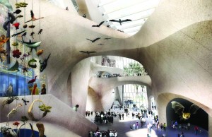 The design of the American Museum of Natural History's Gilder Center Central Exhibition Hall (Rendering: Studio Gang).