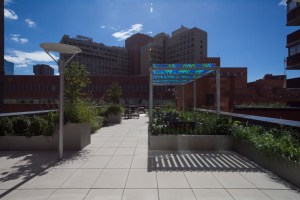 The outdoor terrace at 340 East 24th Street. 