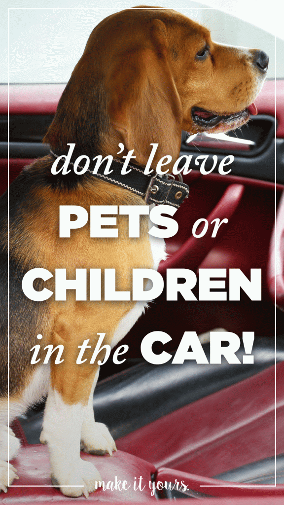 cbl dog psa GGP, Simon Team Up With PETA to Launch PSAs About Hot Car Pet Deaths