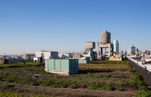 brooklyn grange Placemaking Beyond Manhattan