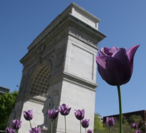 %name Colliers Helps NYU Prepare Its Campus for the Next 100 Years