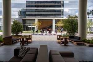 Why Playa Vista Is the Hot New Workplace Destination for LA’s Growing Tech Scene industrious scott ansell 190430 photoshoot campus 033 Why Playa Vista Is the Hot New Workplace Destination for LA’s Growing Tech Scene
